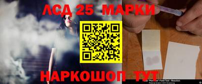 прущие грибы Краснокаменск