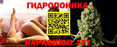 прущие грибы Краснокаменск