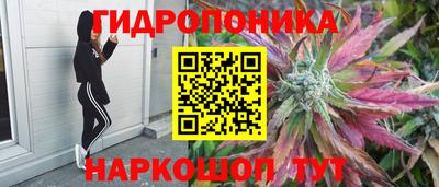 МДПВ Краснознаменск