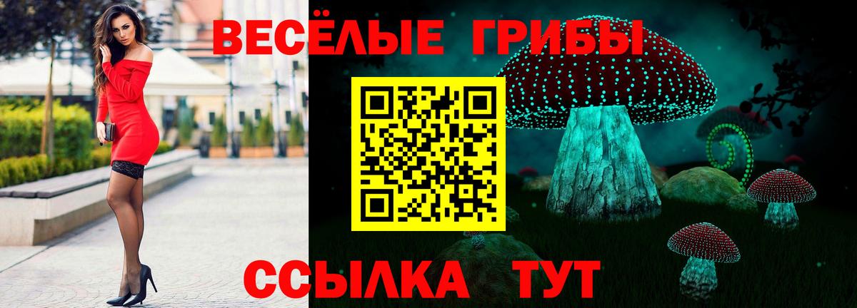Галлюциногенные грибы ЛСД  Вход с VPN  где можно купить наркотик  Ишим 
